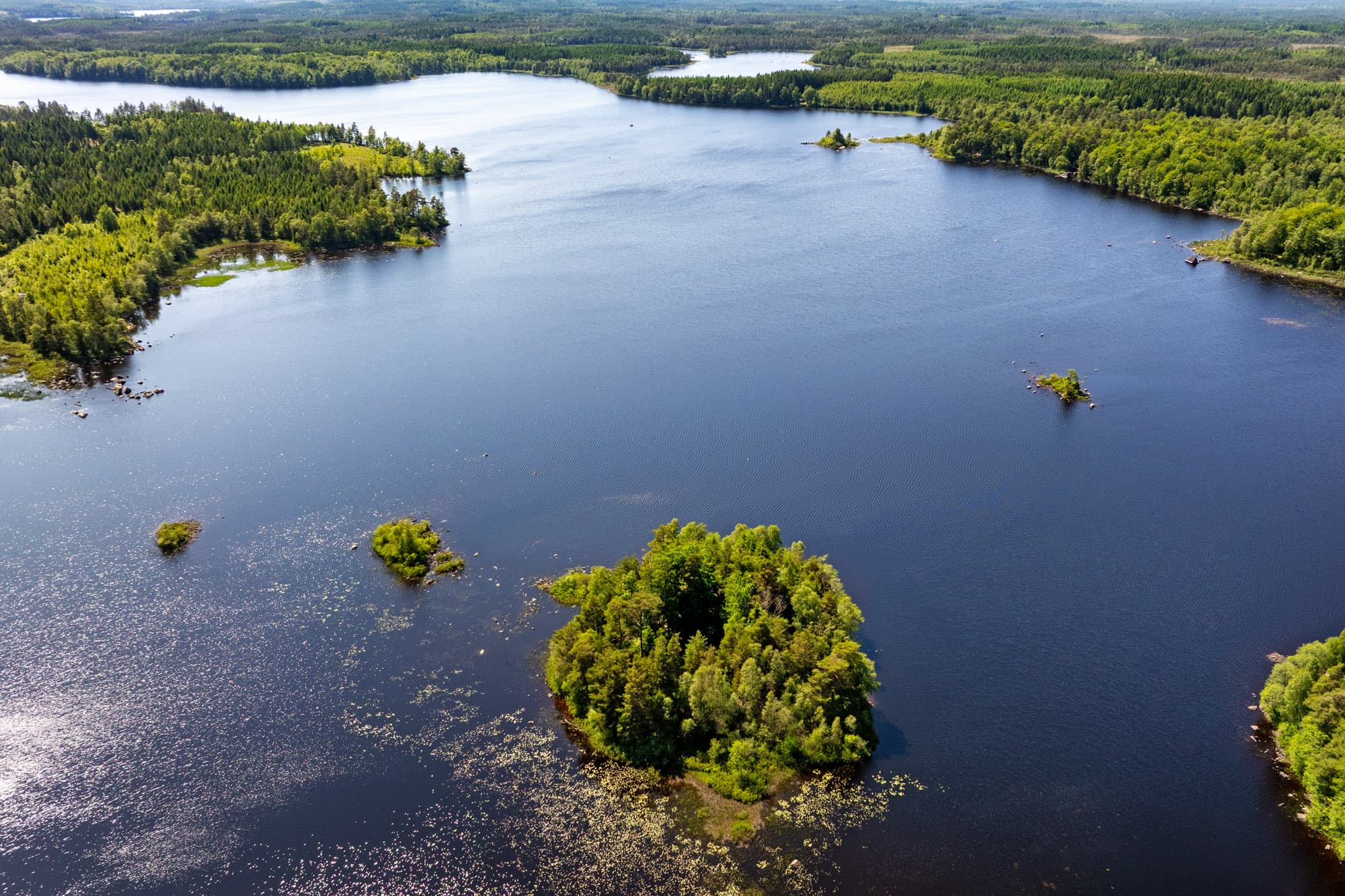 Hallasjön