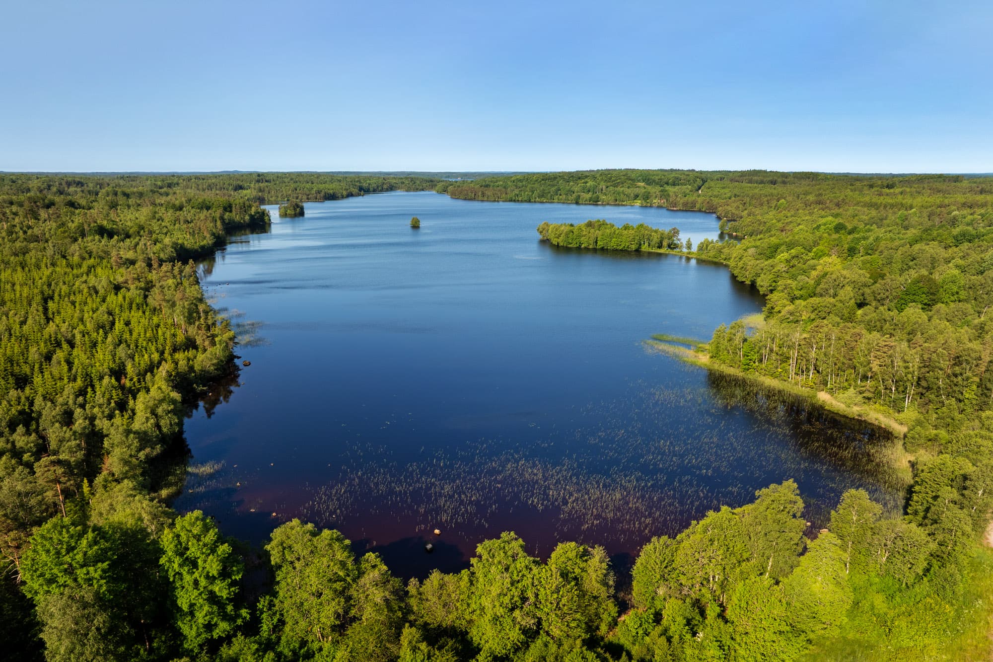 Holmsjön